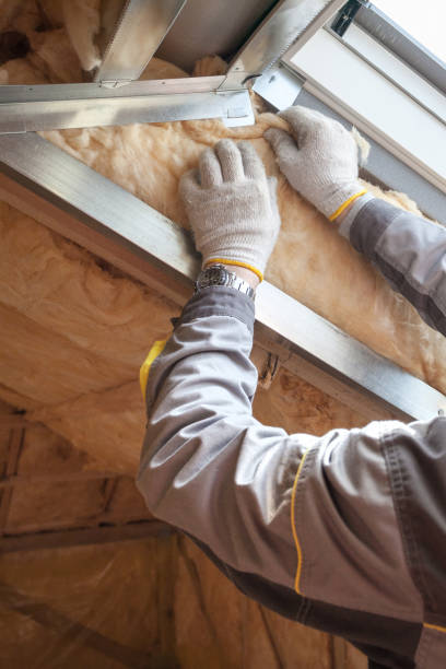 Best Insulation Maintenance and Repair in Western Lake, TX