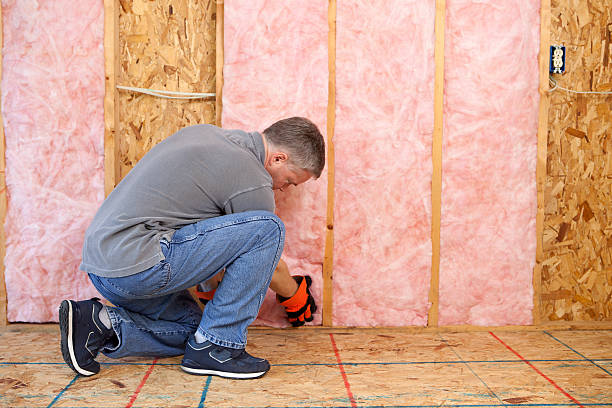 Types of Insulation We Offer in Western Lake, TX