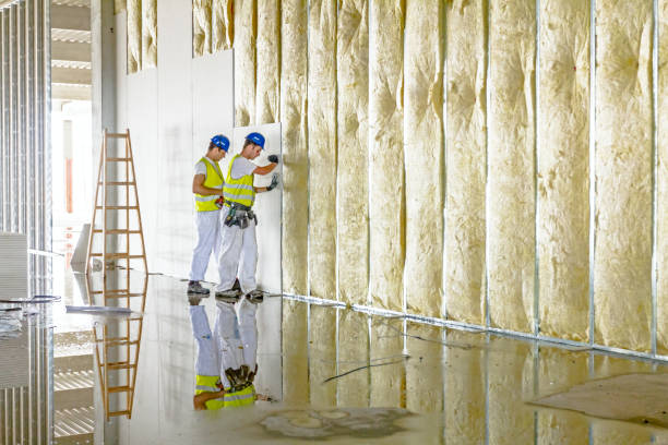 Best Insulation for Specific Applications in Western Lake, TX